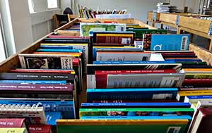 Mega udsalg af kasserede bøger på Fredensborg Bibliotek