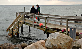 Pingvinbroen Nivå Havn