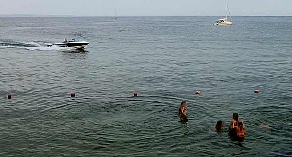 Fritids og erhvervsudvalget har indført badeforbud alle andre steder end på badestranden Nivå Strandpark og Pingvinernes bro.