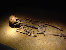 7500 år barneskellet fundet i Nivå