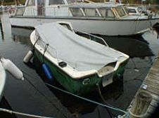 Fiskeringen