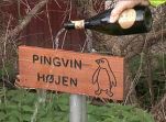 Pingvinhøjen navngivet på Nivå Havn