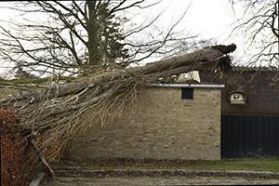 Væltet træ Humlebæk Vandværk stormen Gorm